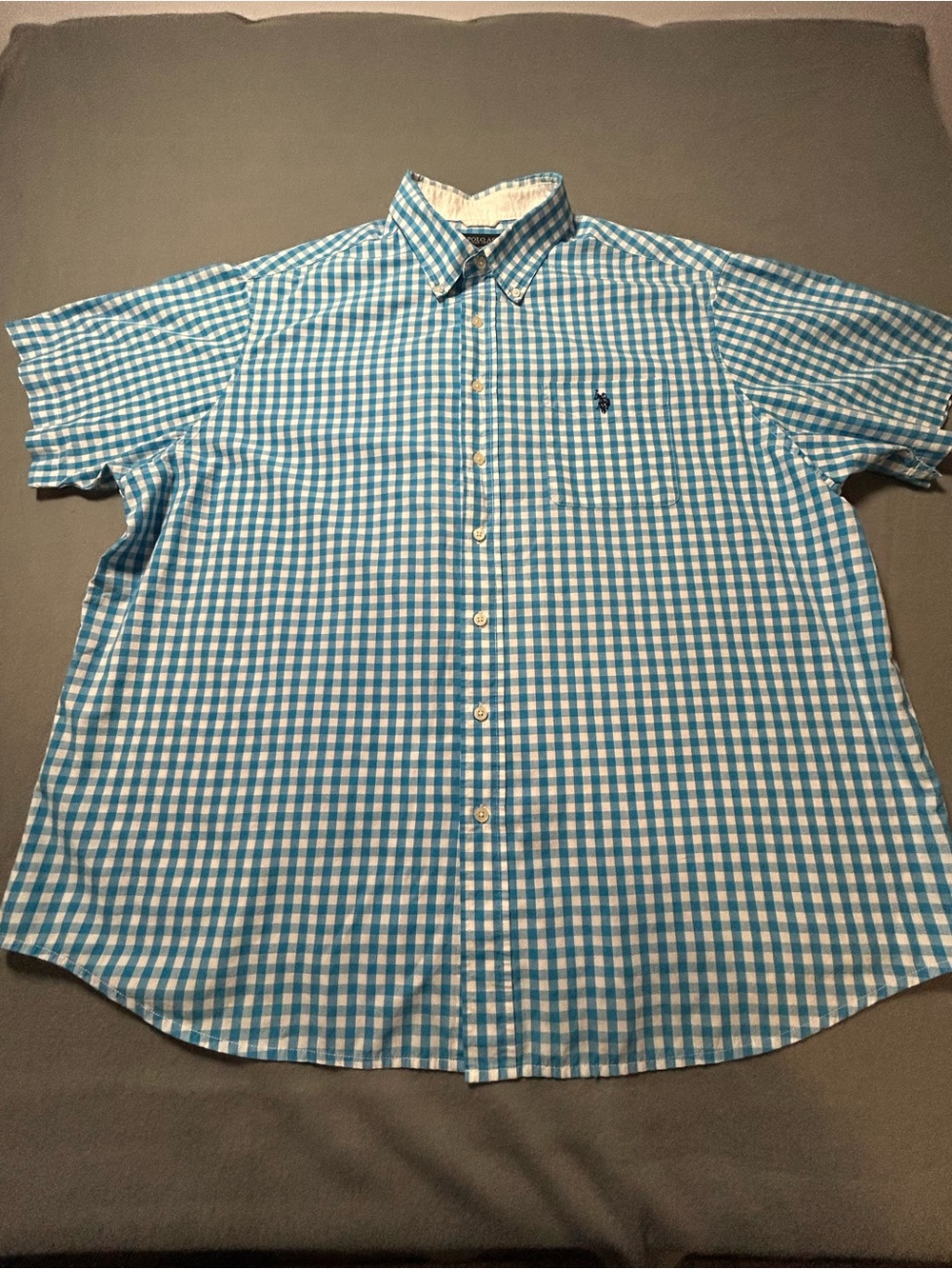 U.S. Polo Assn. Blue and White Gingham Button-Down Shirt